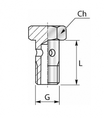 Болт банджо M10x1 (микроарматура)